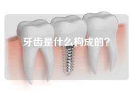 牙齿是什么构成的？