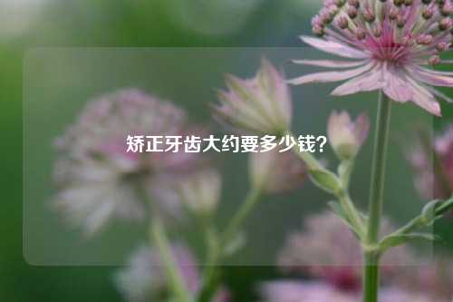 矫正牙齿大约要多少钱？