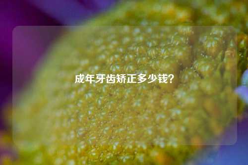 成年牙齿矫正多少钱？