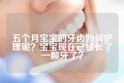 五个月宝宝的牙齿如何护理呢？宝宝现在已经长了一颗牙了？