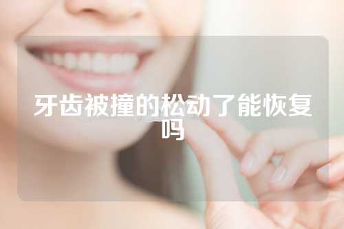 牙齿被撞的松动了能恢复吗