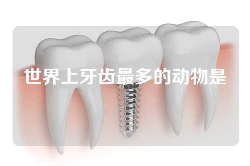 世界上牙齿最多的动物是