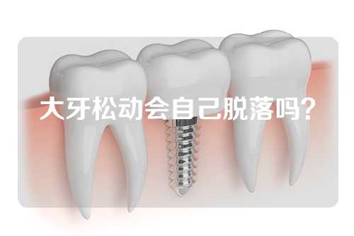 大牙松动会自己脱落吗？